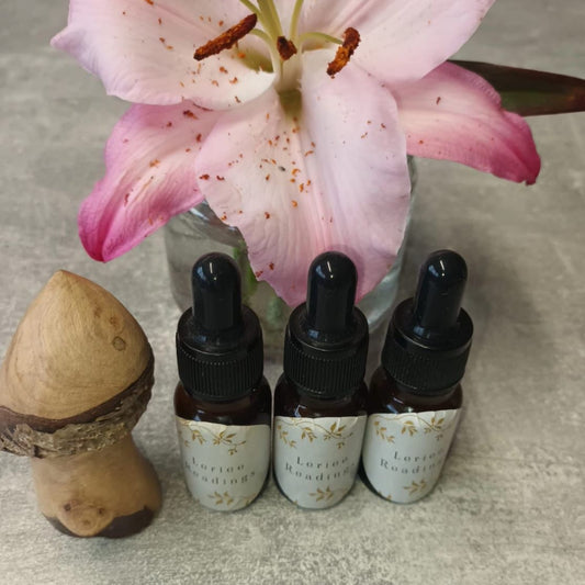 Wild Mushroom Tincture 10ml